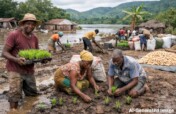 Help 500 Farmers Recover After Floods