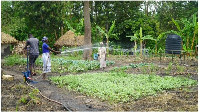 Irrigating To Thrive: Help Empower Ugandan Farmers