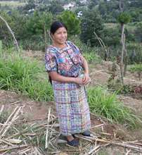 Francisca stands proudly in her blackberry field