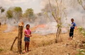Emergency appeal - effects of El Nino