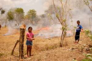 Emergency appeal - effects of El Nino