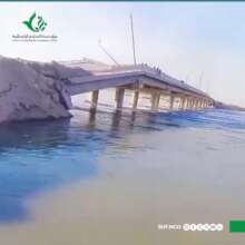 Sudden Flood: Euphrates River Urgent Aid in Syria