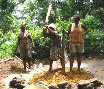 Help vulnerable palm oil startups in the DR Congo