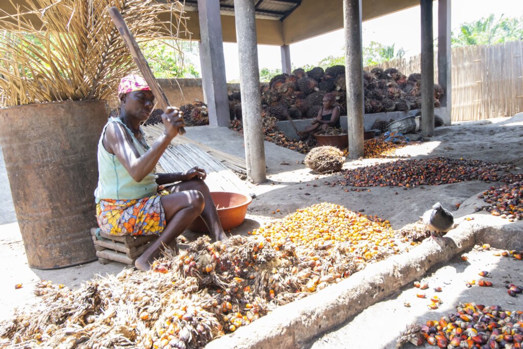Help vulnerable palm oil startups in the DR Congo