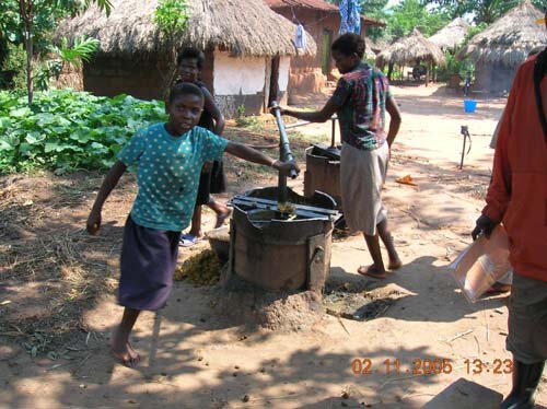 Help vulnerable palm oil startups in the DR Congo