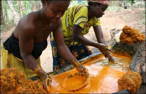 Help vulnerable palm oil startups in the DR Congo