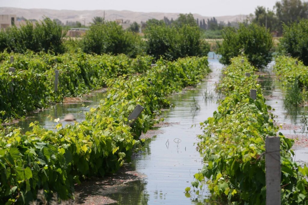 Stand with Syria's Flood-Affected Families