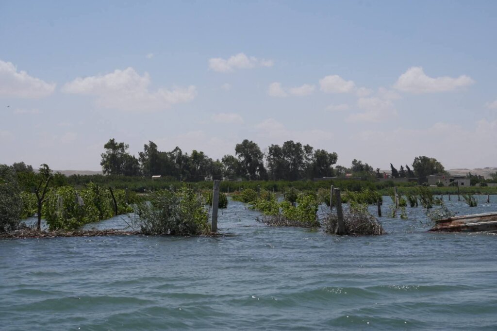 Stand with Syria's Flood-Affected Families