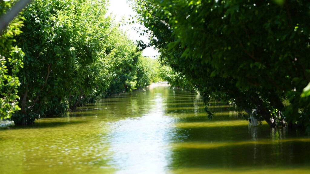 Stand with Syria's Flood-Affected Families