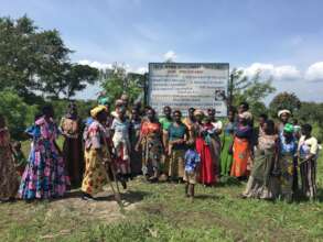Efforts to end the Ebola  Emergency