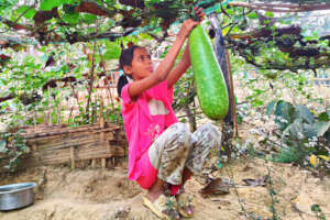Gourds are nutritious, valued by nursing mothers
