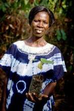 Elizabeth Afrakome