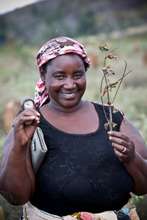 Isabelle is a soybean farmer from Mozambique