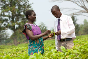 In Malawi Sinyala Chafala & her loan officer meet.