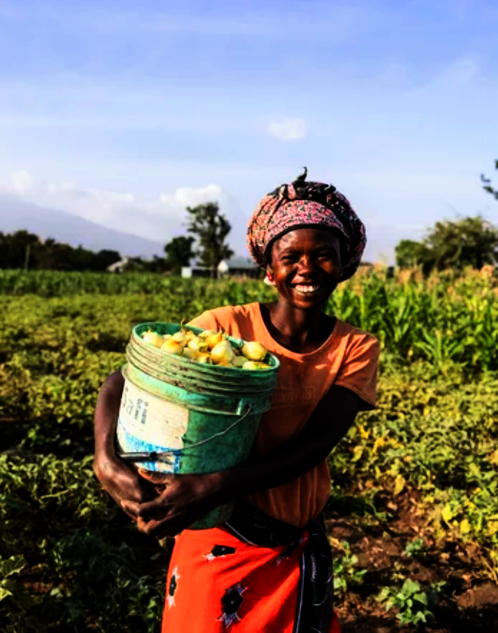 Smart Agriculture For 3,000 Women in Tanzania
