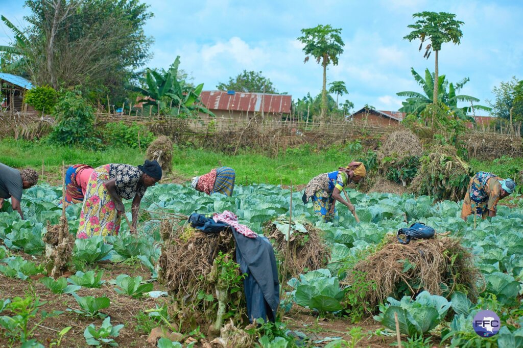 FFC Core Support Fund: Programs and Emergencies