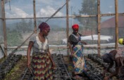 FFC Core Support Fund: Programs and Emergencies