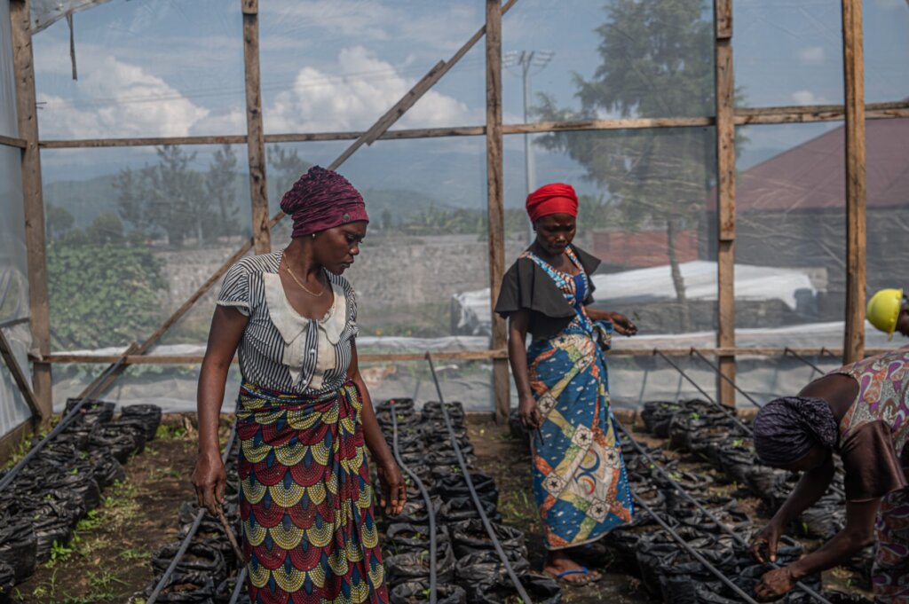 FFC Core Support Fund: Programs and Emergencies
