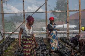 FFC Core Support Fund: Programs and Emergencies