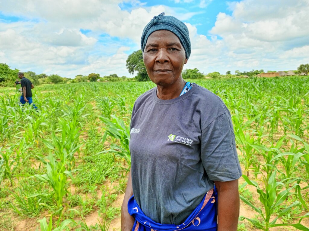 Building Resilience for 500 Farmers in Zambia