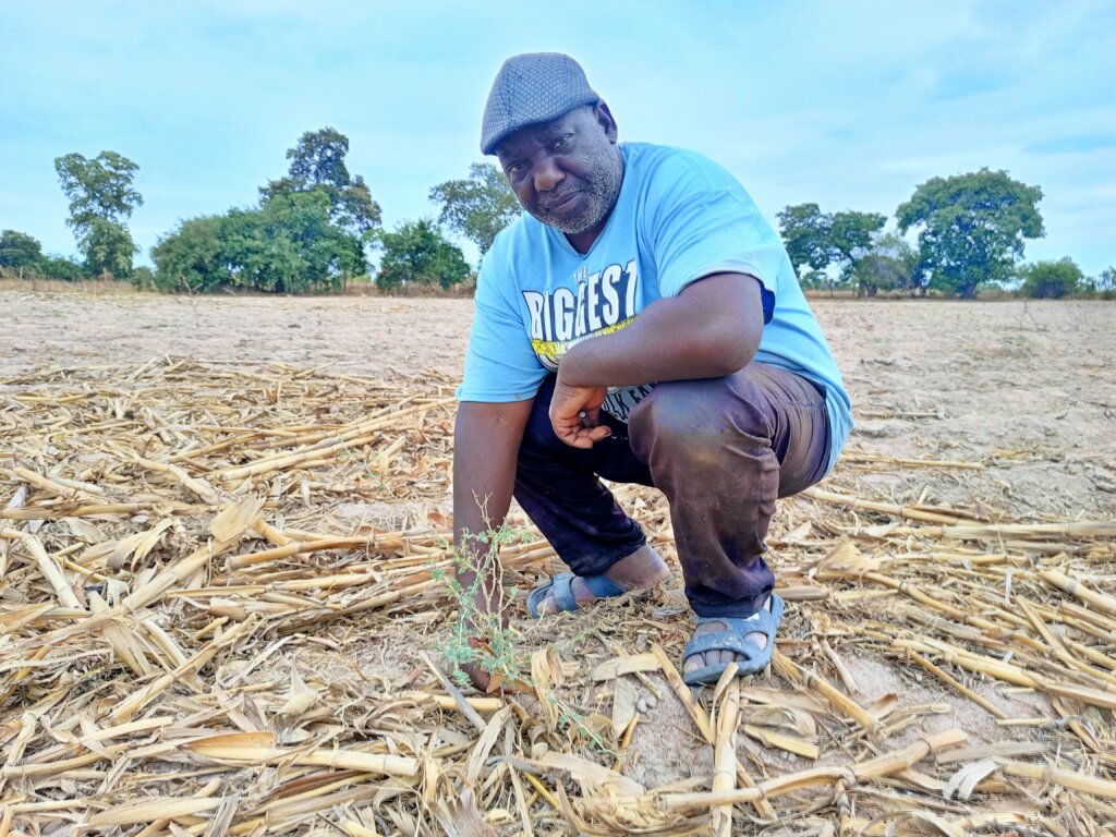 Building Resilience for 500 Farmers in Zambia