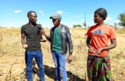 Building Resilience for 500 Farmers in Zambia