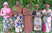 Support 7,000 Women Via Fruits Trees in Chalinze