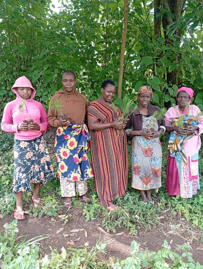 Support 7,000 Women Via Fruits Trees in Chalinze