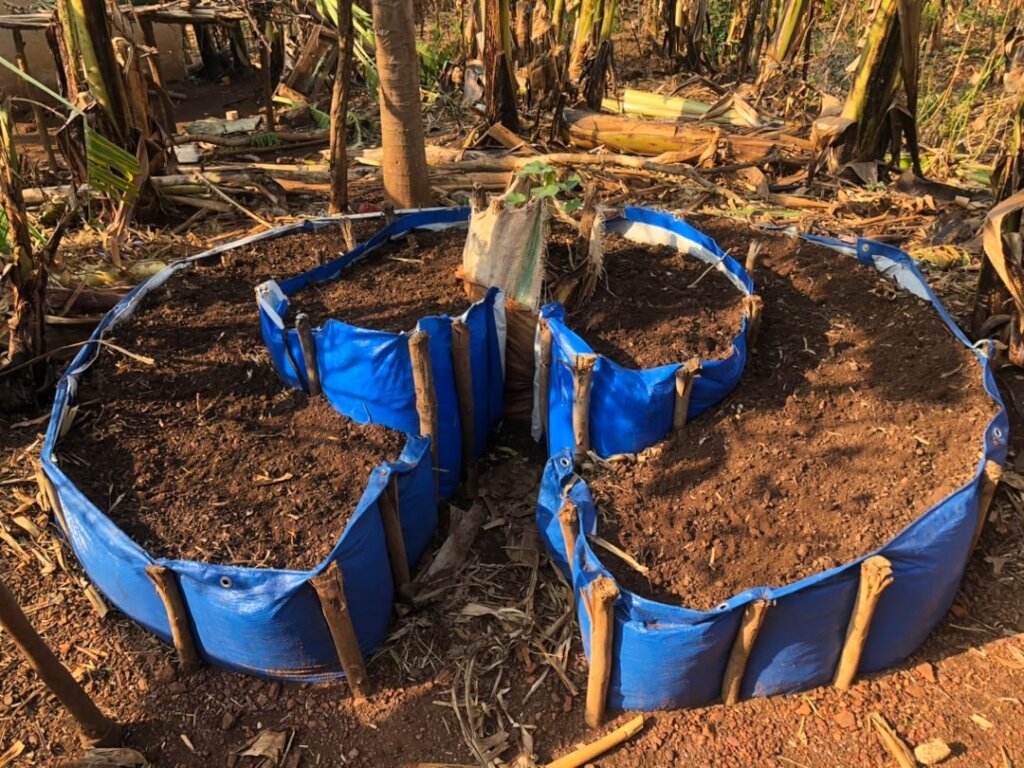 Strengthening Gardens for Teen Mothers in Kayonza