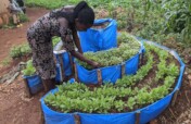 Strengthening Gardens for Teen Mothers in Kayonza
