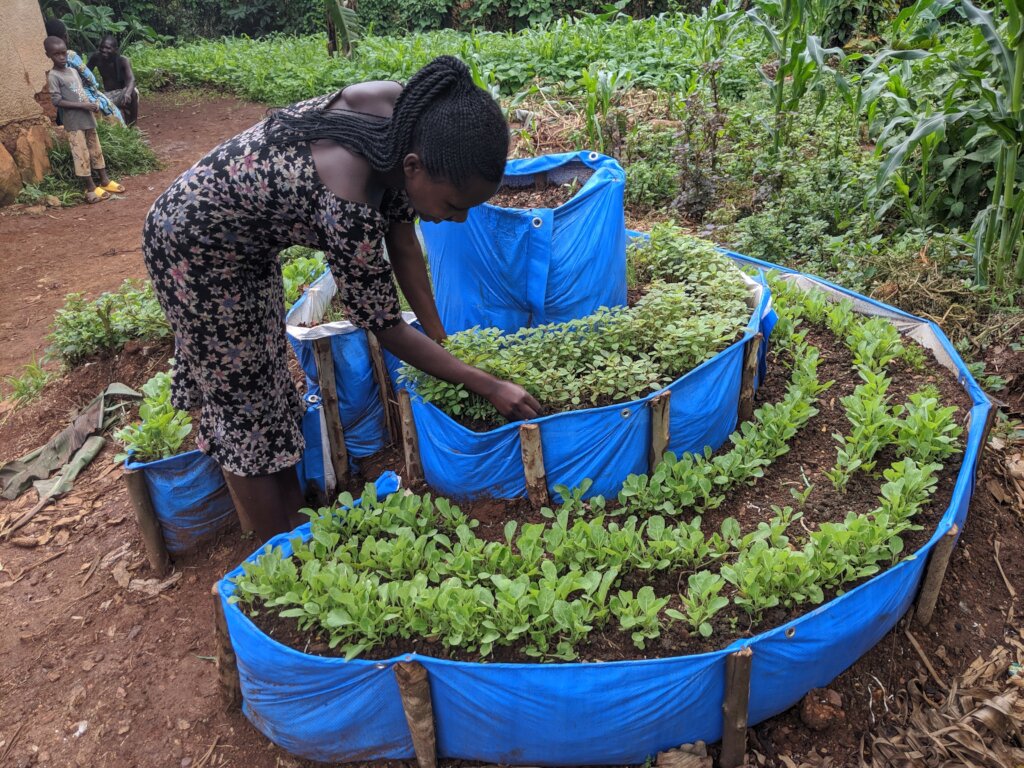 Strengthening Gardens for Teen Mothers in Kayonza