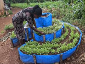 Strengthening Gardens for Teen Mothers in Kayonza