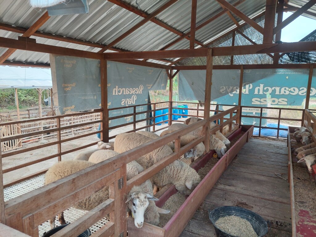 Qurban 2027: Share Happiness for Qurban 2027