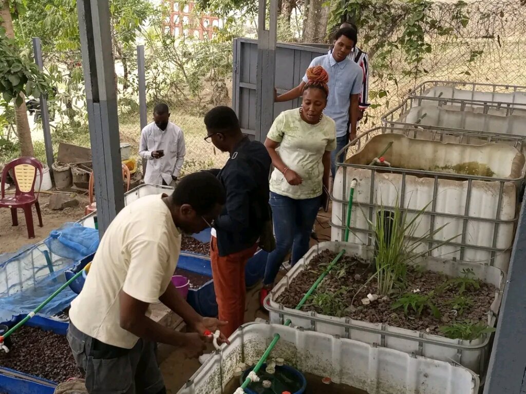 Fish farming grows in the DRC