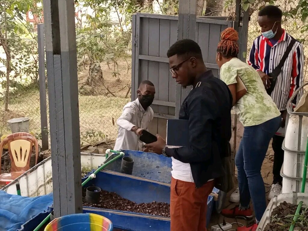 Fish farming grows in the DRC