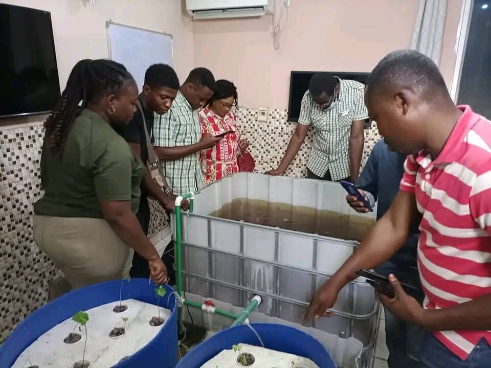 Fish farming grows in the DRC