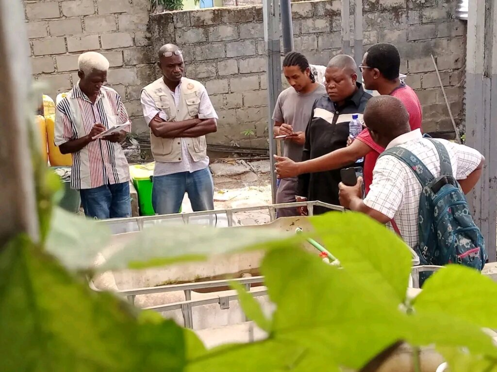 Fish farming grows in the DRC