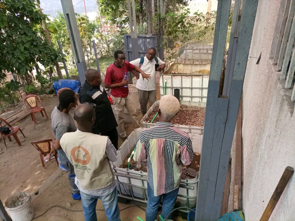 Fish farming grows in the DRC