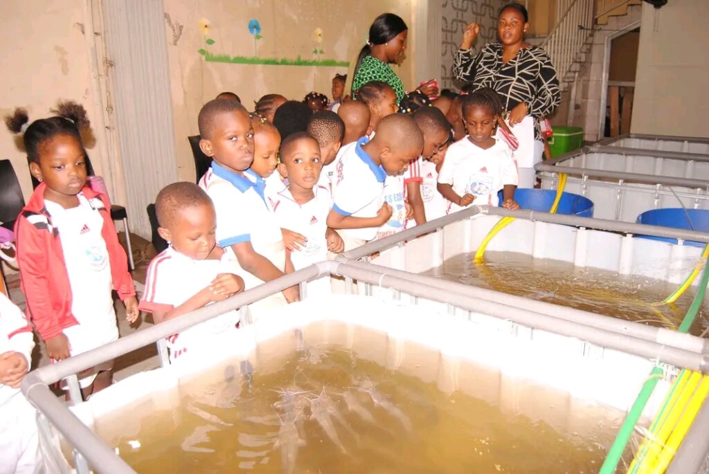 Fish farming grows in the DRC