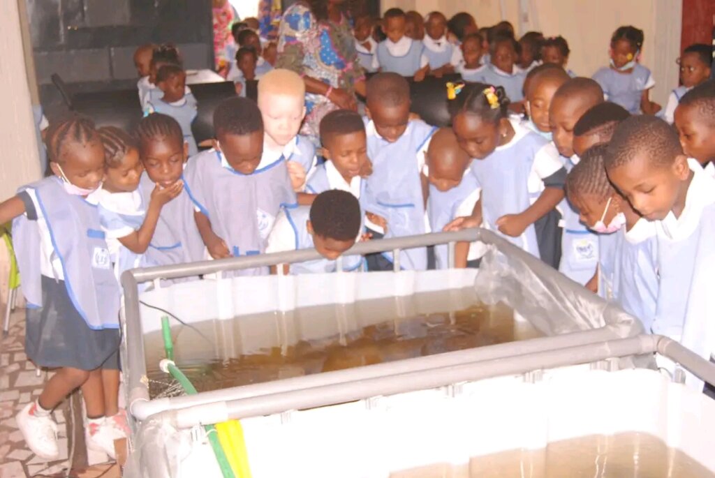 Fish farming grows in the DRC
