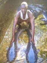 Fish farming grows in the DRC