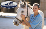 The Path to Recovery Starts with Veterinary Care