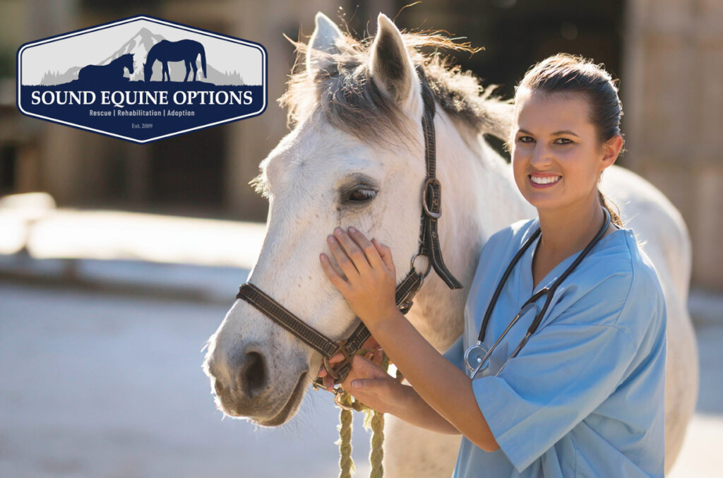 The Path to Recovery Starts with Veterinary Care