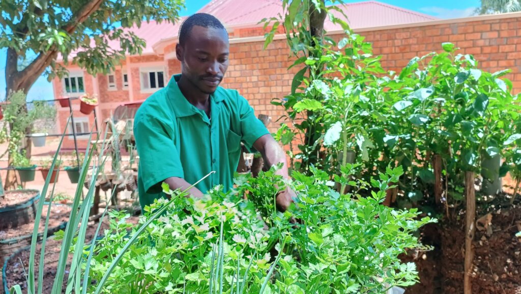 Help 500 Families Establish Backyard Gardens