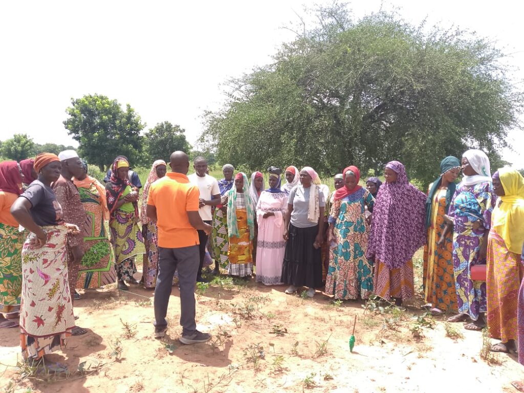 Support 300 Women in Sustainable Agriculture