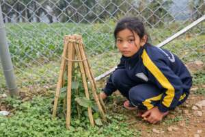 Coserve to Safeguard Childhood Futures