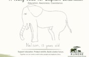 Help Build the Kunene Elephant Education Center