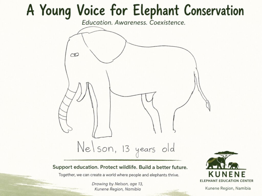 Help Build the Kunene Elephant Education Center
