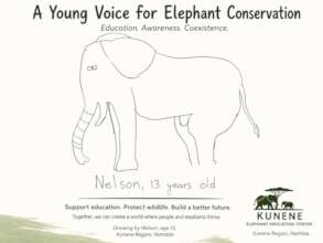 Help Build the Kunene Elephant Education Center