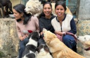 Giving Back-Remember the Stray Dogs in India?